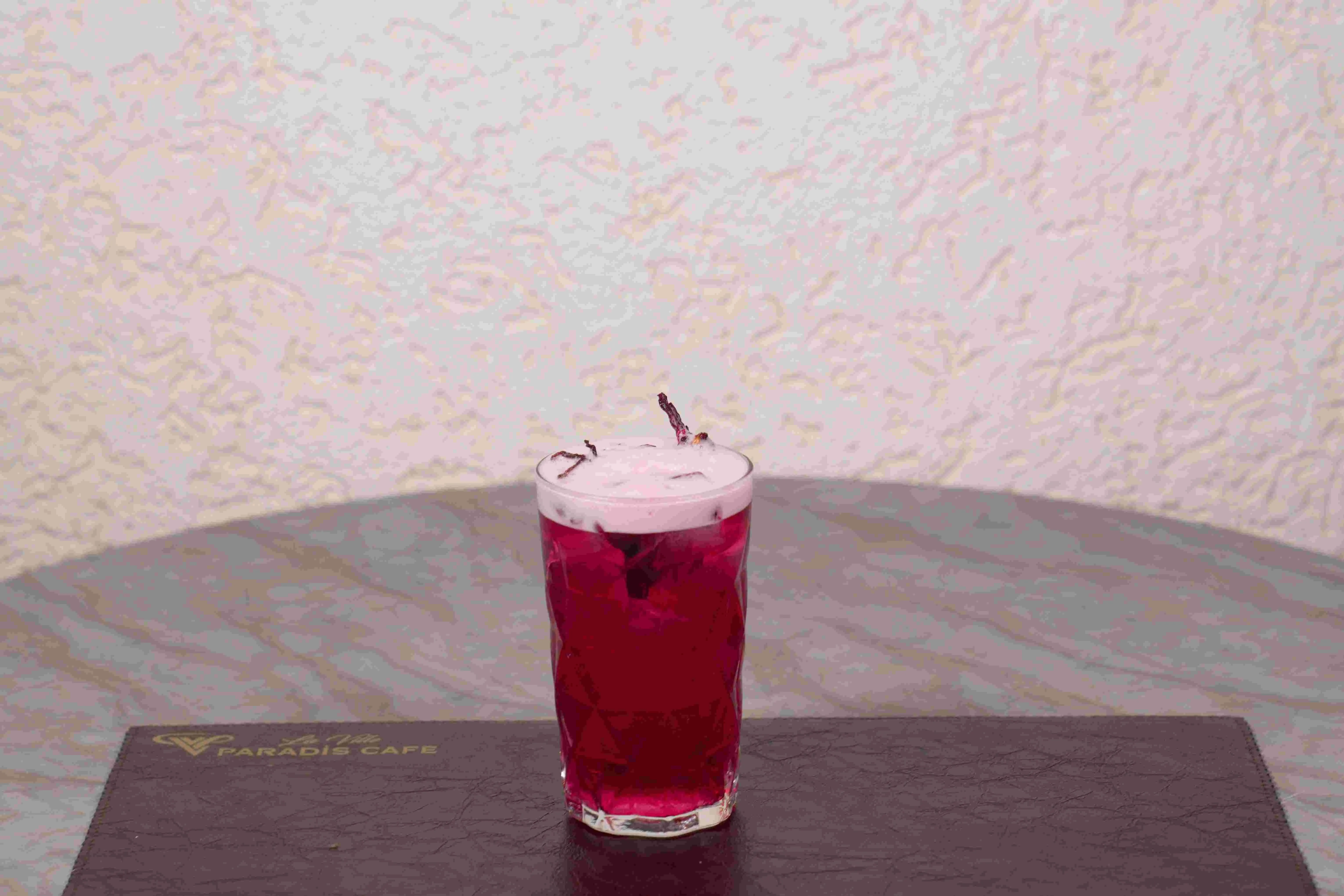 COOL BERRY HİBİSKUS